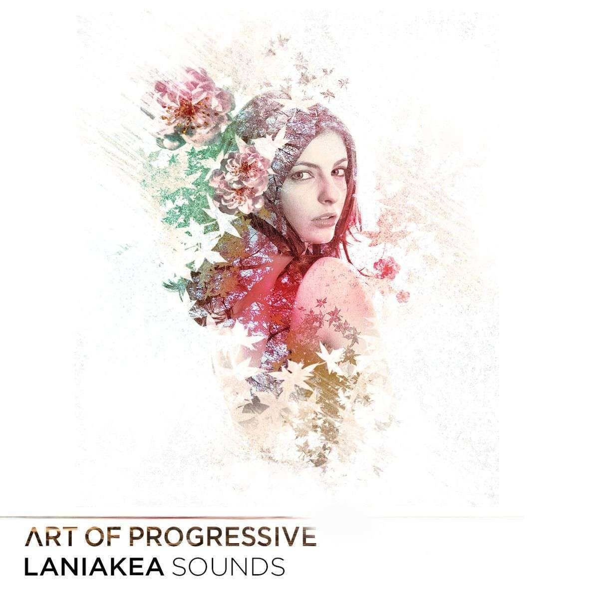 Laniakea Sounds - Art of Progressive Sample Packs Software GUI Artwork